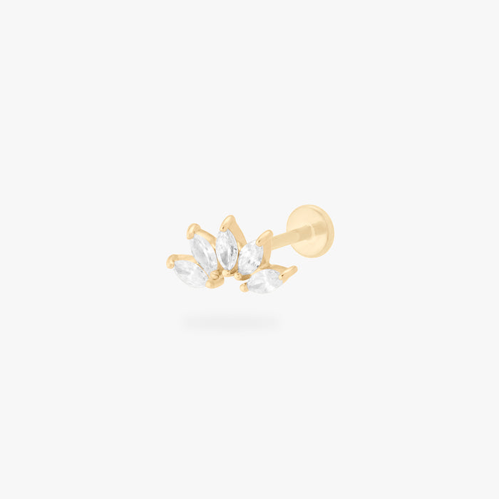 Gold/Clear