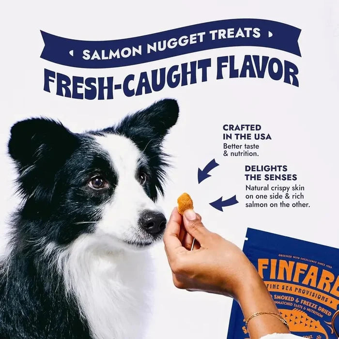 4oz Freeze-Dried Salmon Nuggets for Dogs, 4ozDog TreatsFound My Animal