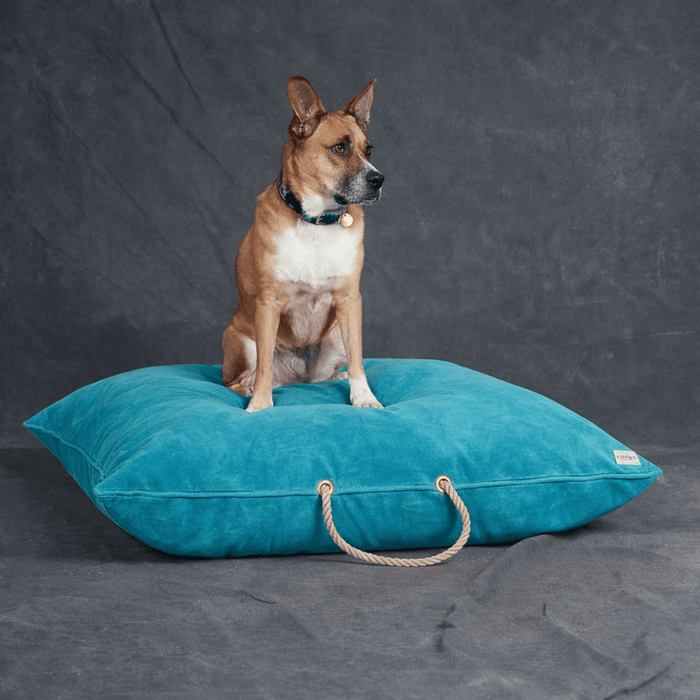 Aqua Washable Velvet Dog BedDog BedsFound My AnimalM