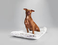Arctic Shag Cozy MatDog BedsFound My AnimalSmall