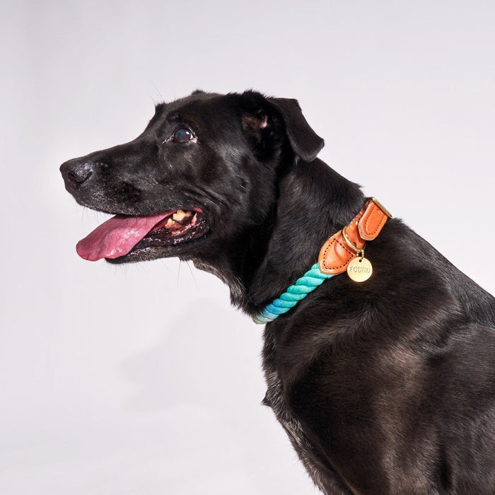 Azure Cotton Rope Cat & Dog CollarDog CollarsFound My AnimalXS