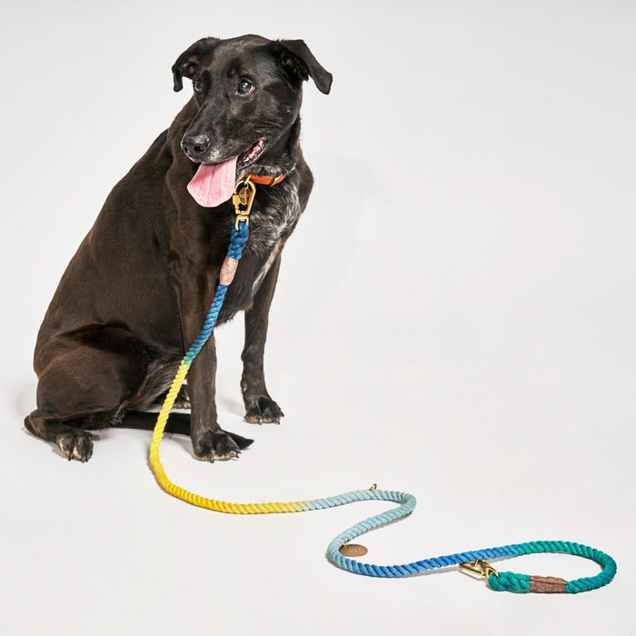 Azure Cotton Rope Dog Leash by Found My Animal, AdjustableShop LeashesFound My AnimalS