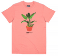 BBC 811-7314-PEONY LIFE TEE