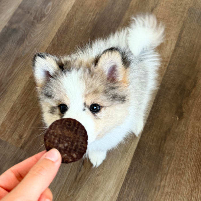 Beef Chips Dog Treats | Single-Ingredient Healthy Treats for DogsDog TreatsFound My AnimalStandard 4oz