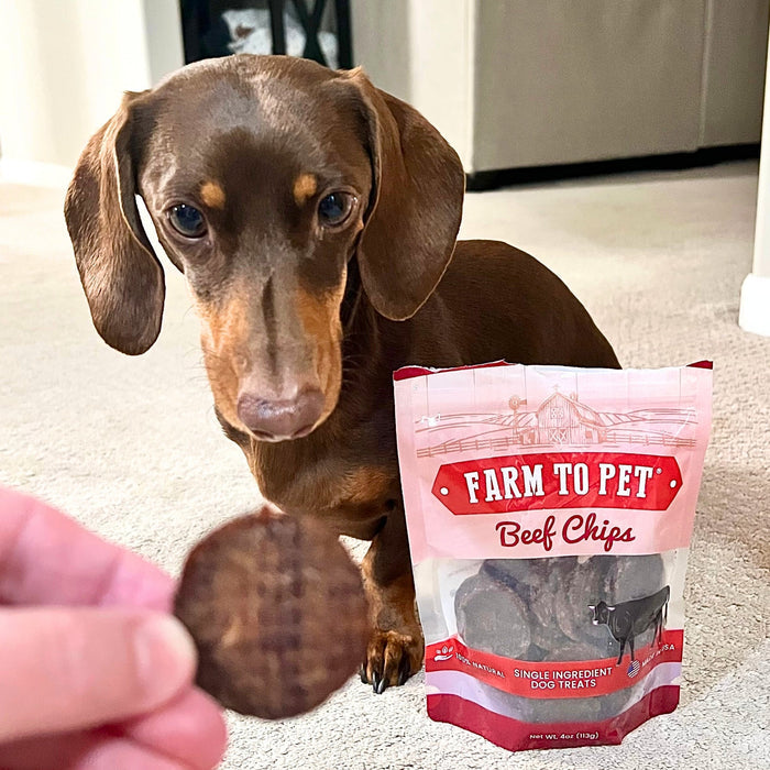 Beef Chips Dog Treats | Single-Ingredient Healthy Treats for DogsDog TreatsFound My AnimalStandard 4oz