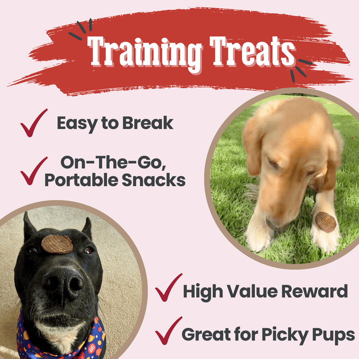 Beef Chips Dog Treats | Single-Ingredient Healthy Treats for DogsDog TreatsFound My AnimalStandard 4oz