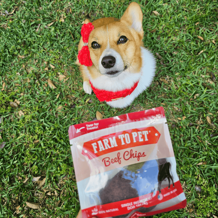 Beef Chips Snack Pack Bundles | Dog Treats for Training & TravelDog TreatsFound My Animal6 Pack