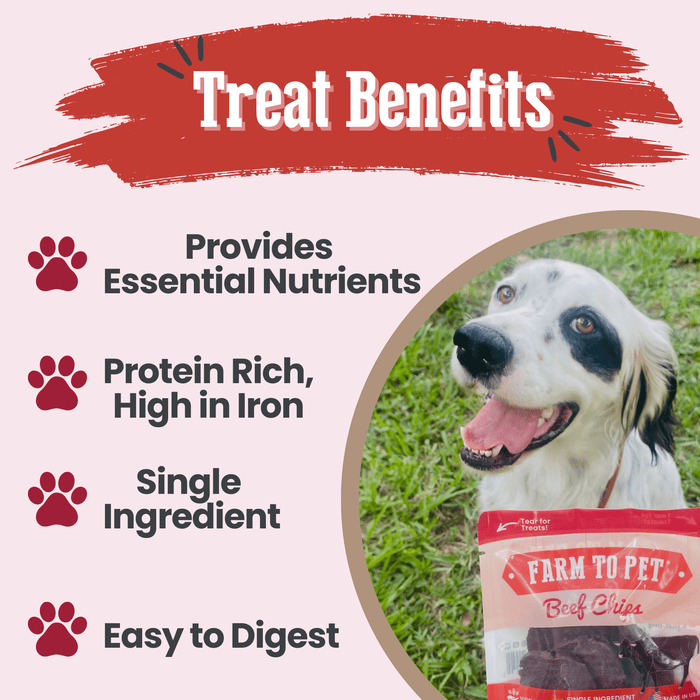 Beef Chips Snack Pack Bundles | Dog Treats for Training & TravelDog TreatsFound My Animal6 Pack