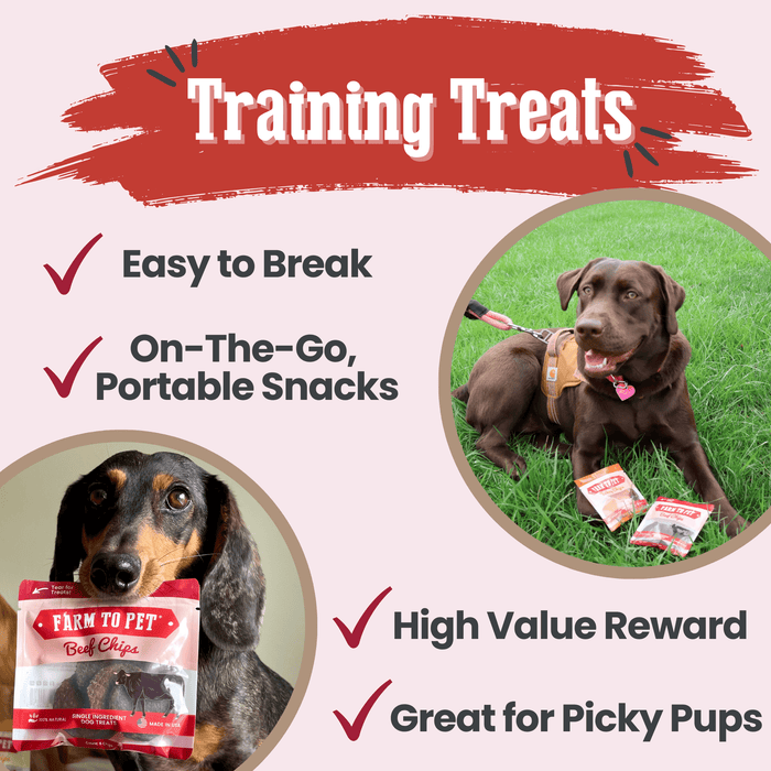 Beef Chips Snack Pack Bundles | Dog Treats for Training & TravelDog TreatsFound My Animal6 Pack