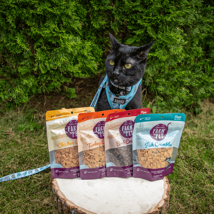 Beef Crumbles Cat Treats | High Protein Treats for CatsCat TreatsFound My Animal