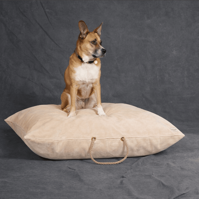 Beige Washable Velvet Dog BedDog BedsFound My AnimalM