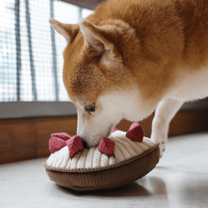 BERRY PIE//ENRICHMENT DOG TOYToysFound My Animal