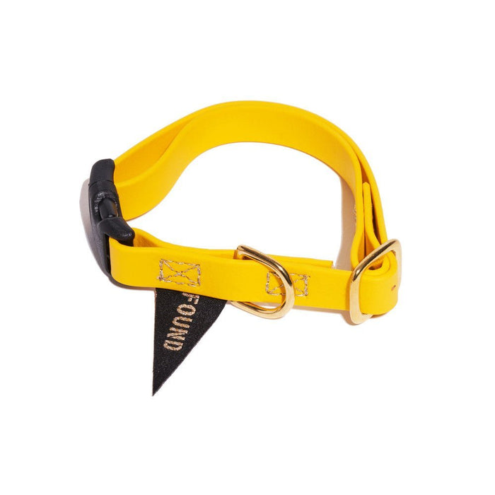 Biothane® Leather Alternative Dog & Cat Collar – Waterproof & Durable | YellowDog CollarsFound My AnimalXS