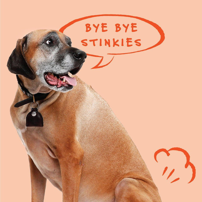 Bocce's Bakery Dailies Bye Bye Stinkies Pumpkin + Ginger Recipe Dog TreatsDog TreatsFound My Animal