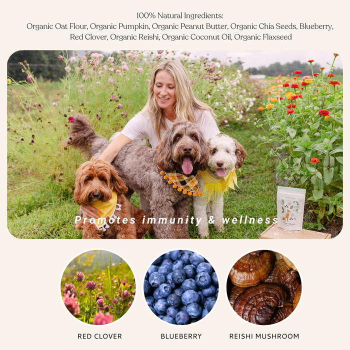 Botanical Bones - Flower Power Cookies - All Natural, Organic Dog TreatsDog TreatsFound My Animal