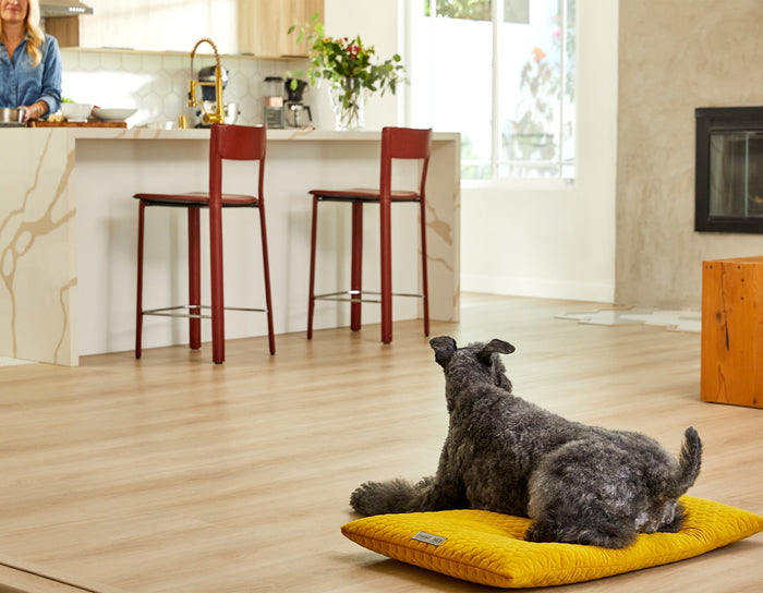 Bumble Chartreuse Cozy MatDog BedsFound My AnimalSmall