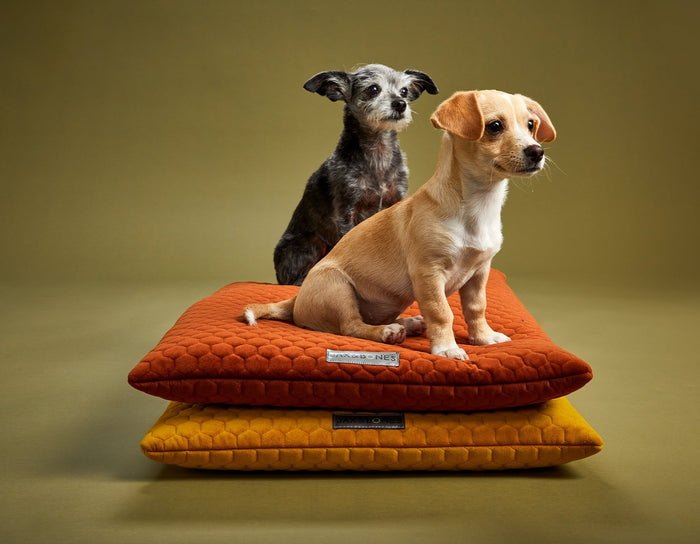 Bumble Chartreuse Cozy MatDog BedsFound My AnimalSmall