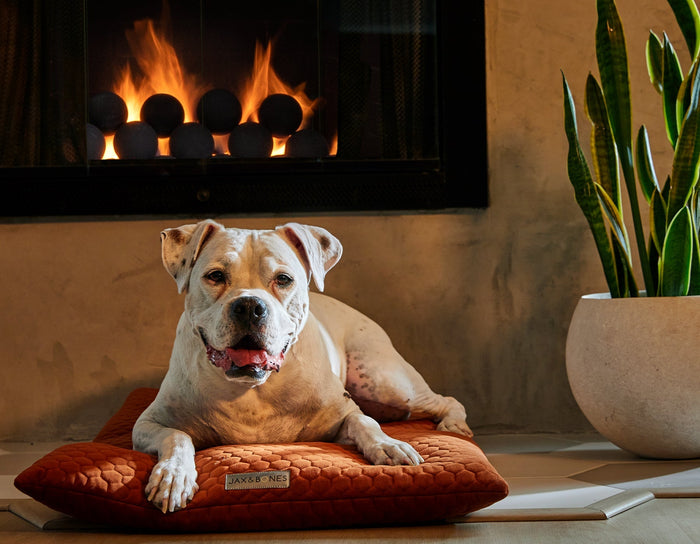 Bumble Terra Cozy MatDog BedsFound My AnimalSmall