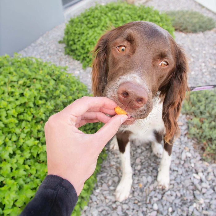 Cheddar Crunchies 7.5 ozDog TreatsFound My Animal