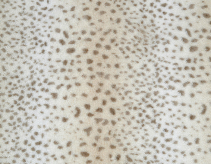 Cheetah Donut BedDog BedsFound My AnimalSmall