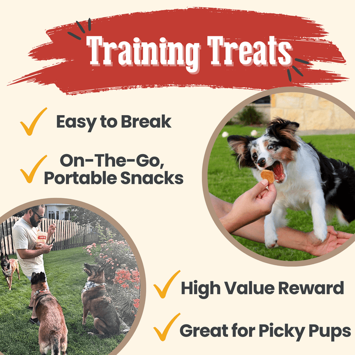 Chicken Chips for Dogs | All-Natural Single-Ingredient Dog TreatsDog TreatsFound My AnimalStandard 4oz
