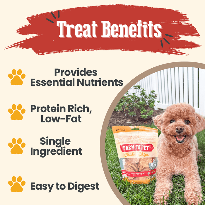 Chicken Chips for Dogs | All-Natural Single-Ingredient Dog TreatsDog TreatsFound My AnimalStandard 4oz