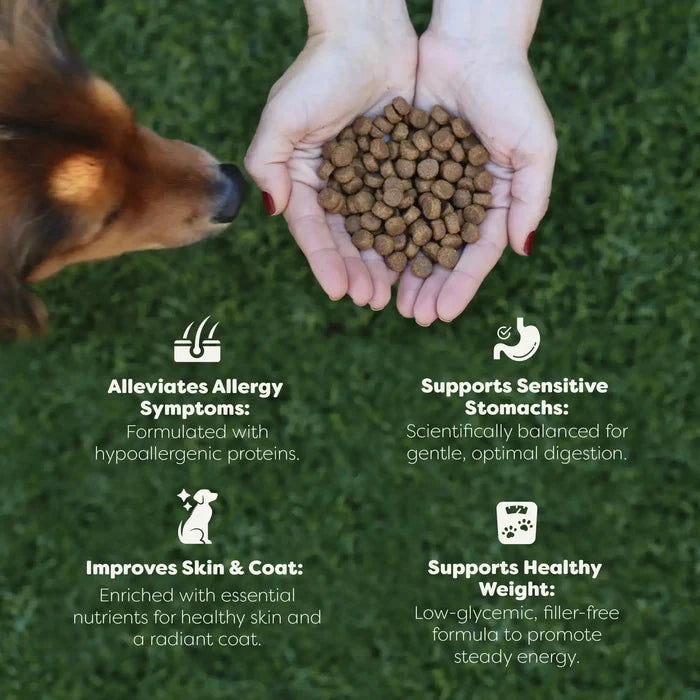 Chicken & Egg Dog FoodDog TreatsFound My Animal5 lb