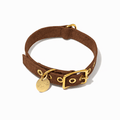 Cinnamon Cotton Canvas Cat & Dog CollarDog CollarsFound My AnimalXS