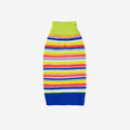 Circus Stripe Dog SweaterFound My AnimalRainbow