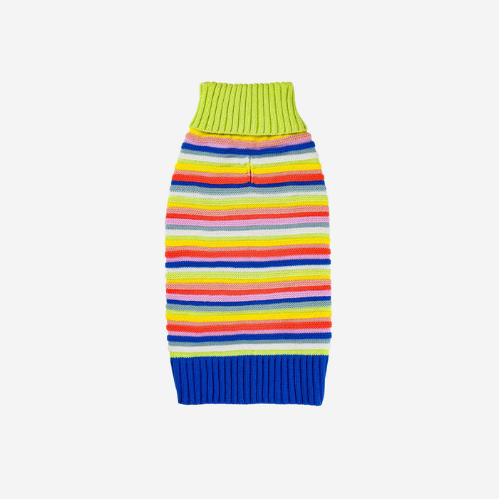 Circus Stripe Dog SweaterFound My AnimalRainbow