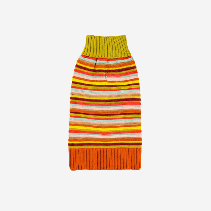 Circus Stripe Dog SweaterFound My AnimalRainbow