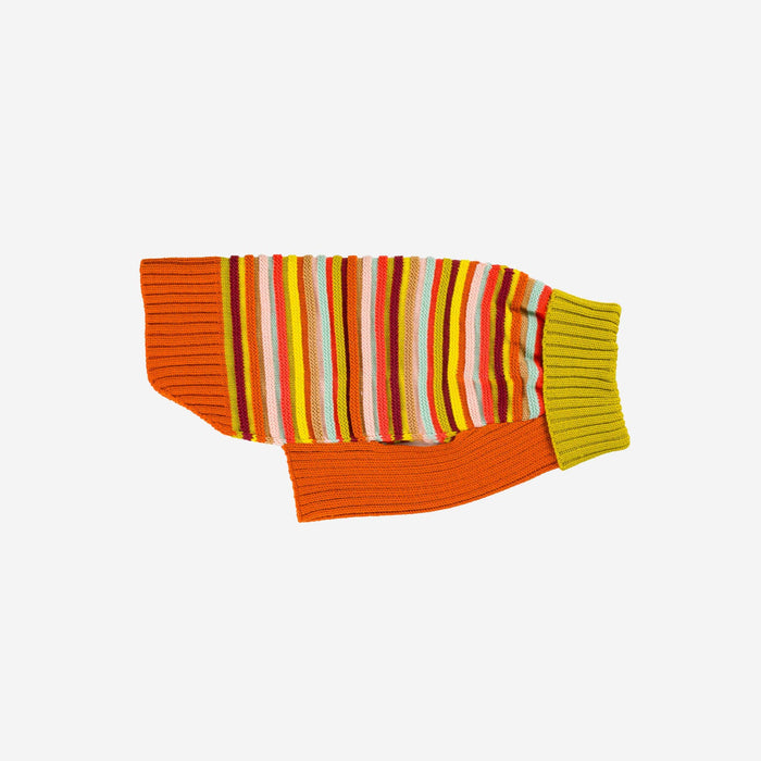Circus Stripe Dog SweaterFound My AnimalRainbow
