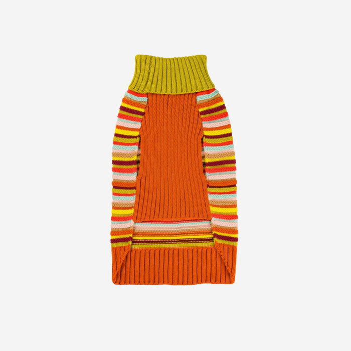 Circus Stripe Dog SweaterFound My AnimalRainbow