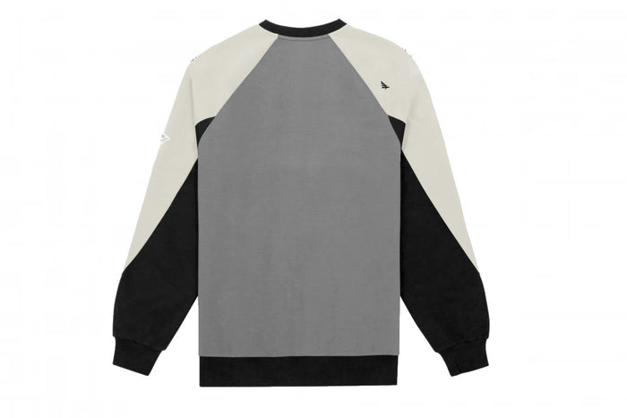 COLOR BLOCK CREW 300052-PWTR