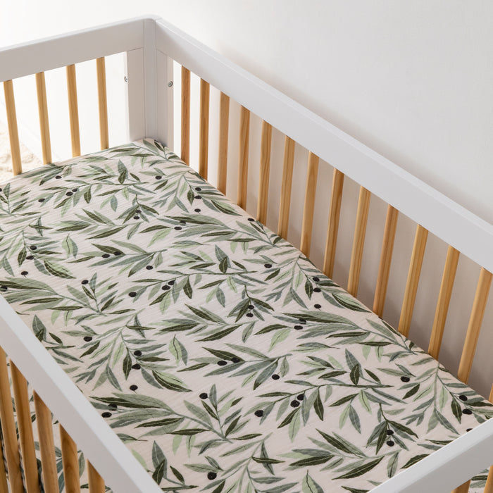 Olive Branches