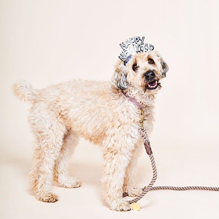 Dark Tan Rope Dog Leash by Found My Animal | Adjustable & HandcraftedShop LeashesFound My AnimalS