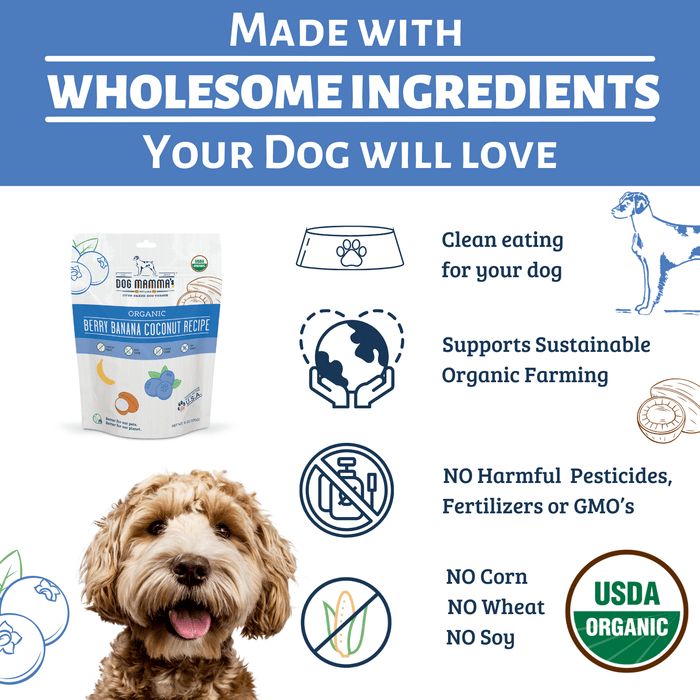 Dog Mamma's Organic Berry Banana Coconut Recipe - USDA Organic Certified Dog TreatsDog TreatsFound My Animal