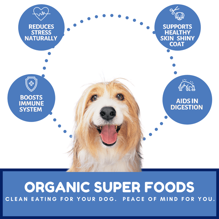 Dog Mamma's Organic Berry Banana Coconut Recipe - USDA Organic Certified Dog TreatsDog TreatsFound My Animal