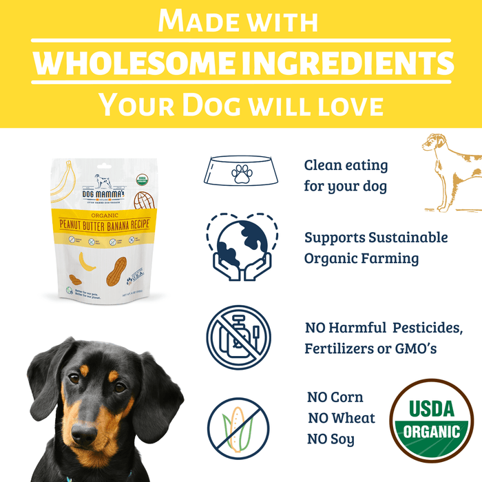 Dog Mamma's Organic Peanut Butter Banana Recipe - USDA Organic Certified Dog TreatsDog TreatsFound My Animal
