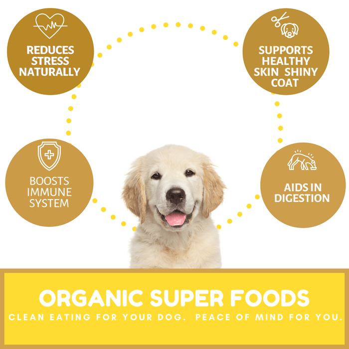 Dog Mamma's Organic Peanut Butter Banana Recipe - USDA Organic Certified Dog TreatsDog TreatsFound My Animal