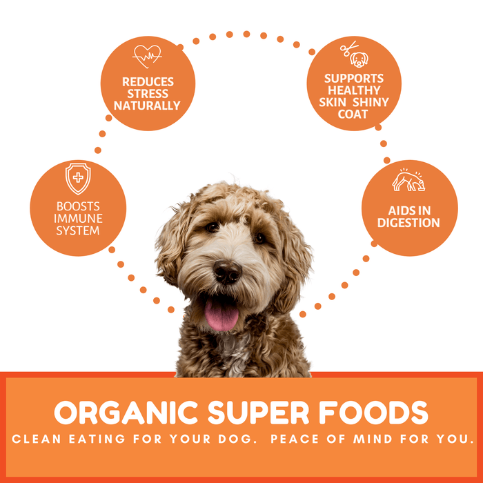 Dog Mamma's Organic Pumpkin Snaps Recipe- USDA Organic Certified Dog TreatsDog TreatsFound My Animal