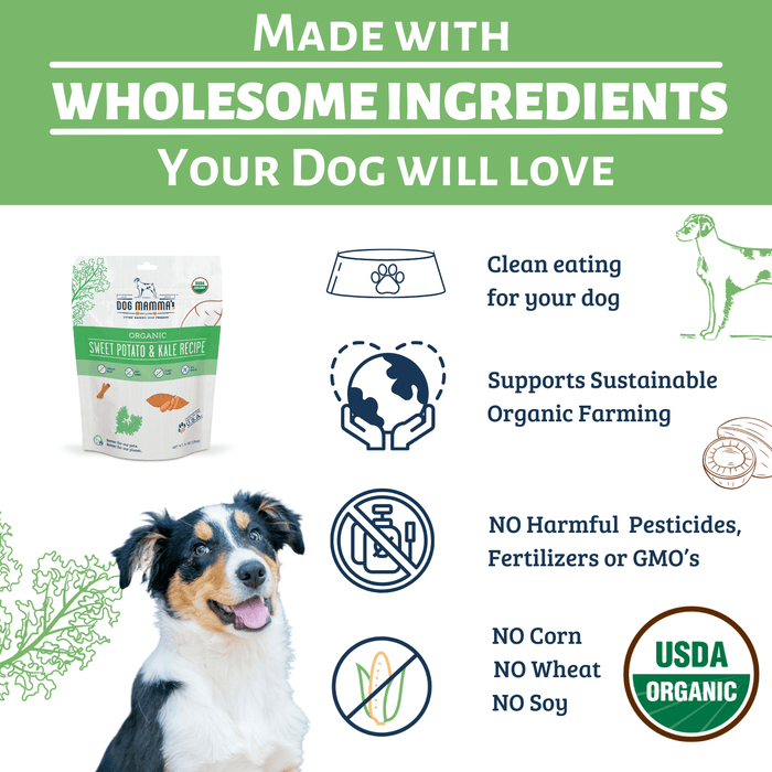 Dog Mamma's Organic Sweet Potato & Kale Recipe - USDA Organic Certified Dog TreatsDog TreatsFound My Animal