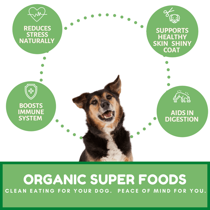 Dog Mamma's Organic Sweet Potato & Kale Recipe - USDA Organic Certified Dog TreatsDog TreatsFound My Animal