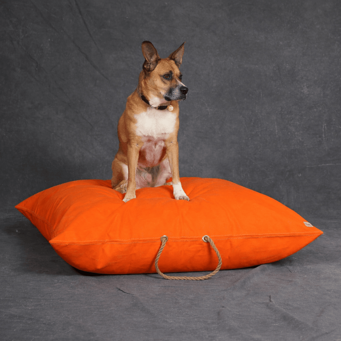 Fire Orange Waxed Cotton Canvas Dog BedDog BedsFound My AnimalM