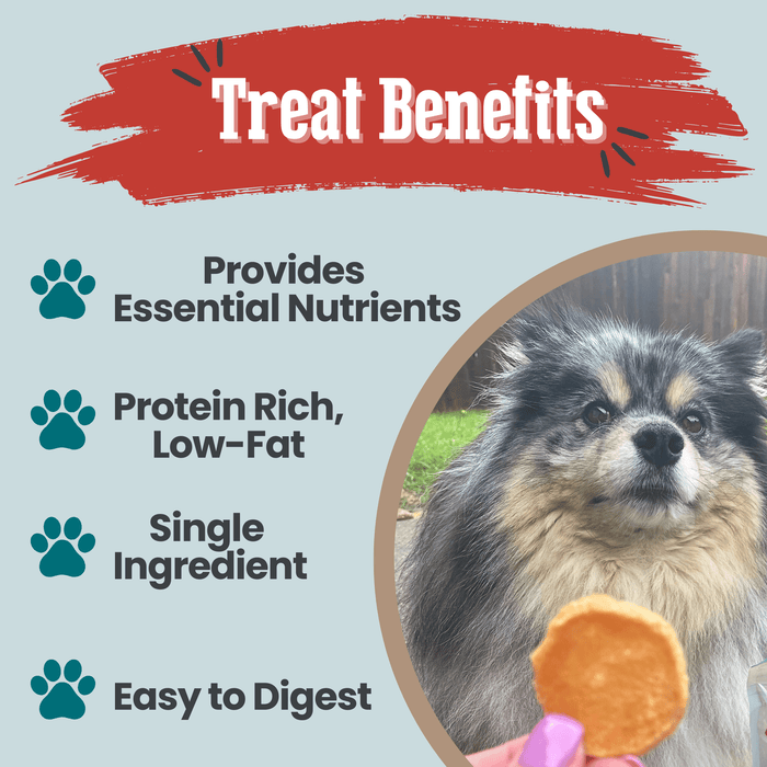 Fish Chips Snack Pack Bundles | Dog Treats for Training & TravelDog TreatsFound My Animal6 Pack