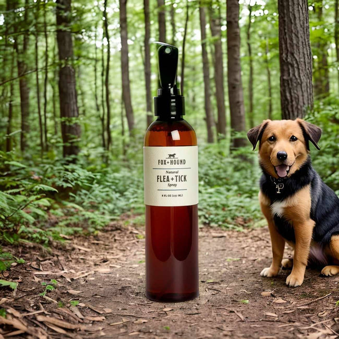 FLEA + TICK SPRAY FOR DOGS, NATURAL BUG REPELLENT SPRAYWellnessFound My Animal