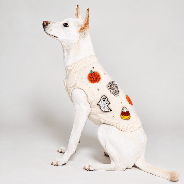 Found My Animal Bead Icon Ghost Sweater (Pre Order for September 26th Delivery)Puffers, Hoodies, CoatsFound My AnimalS