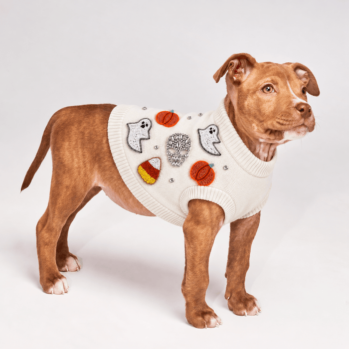 Found My Animal Bead Icon Ghost Sweater (Pre Order for September 26th Delivery)Puffers, Hoodies, CoatsFound My AnimalS