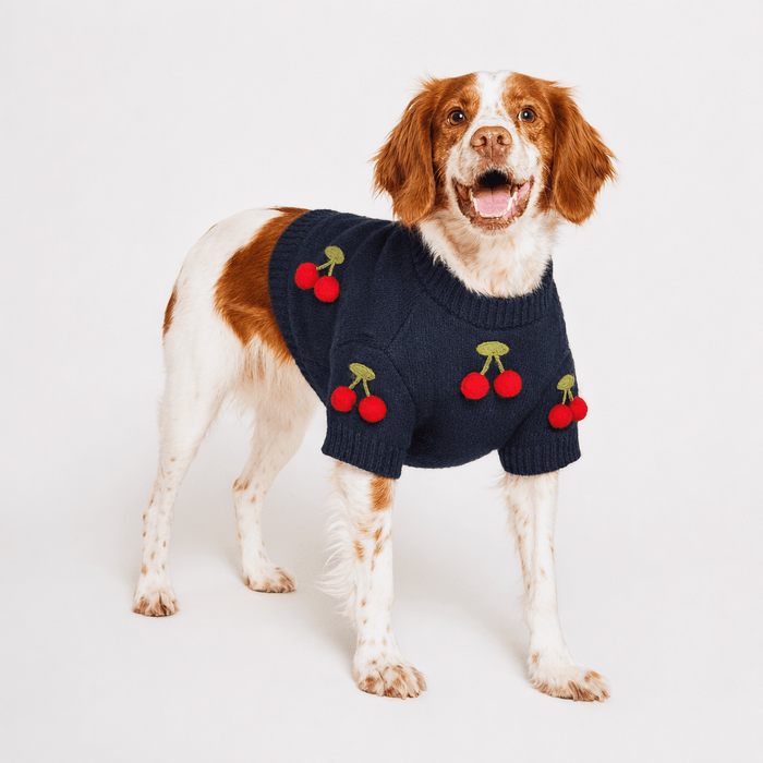 Found My Animal Cherries 3D Icon SweaterPuffers, Hoodies, CoatsFound My AnimalXS