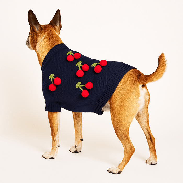 Found My Animal Cherries 3D Icon SweaterPuffers, Hoodies, CoatsFound My AnimalXS